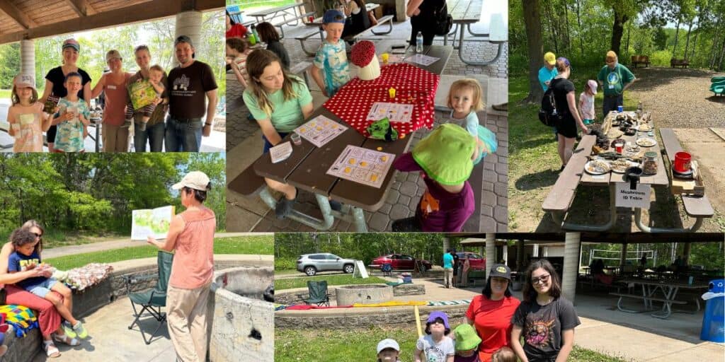 Photo collage of people and activities at the 2023 MMS Family Fungi Fest.