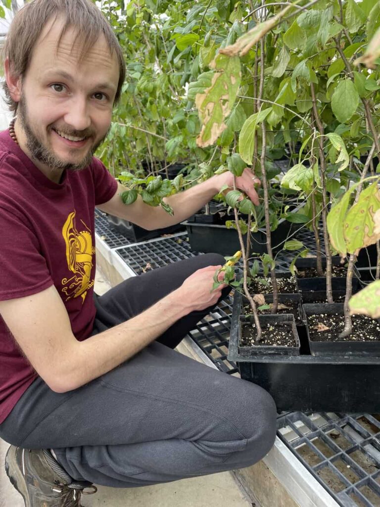 Ryan Franke kneels in a greenhouse while inspecting potted buckthorn plants, smiling at the camera and gently handling one of the saplings.