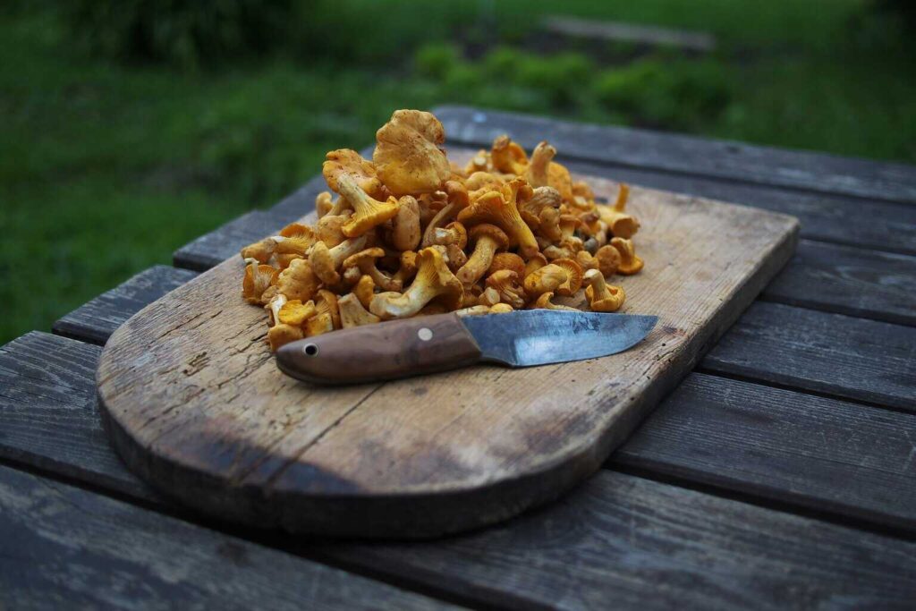 A pile of foraged chanterelle mushrooms on a weathered wooden cutting board outdoors, next to a rustic knife with a wooden handle. The scene is set on a picnic table with green grass blurred in the background, evoking a fresh-from-the-forest feel.