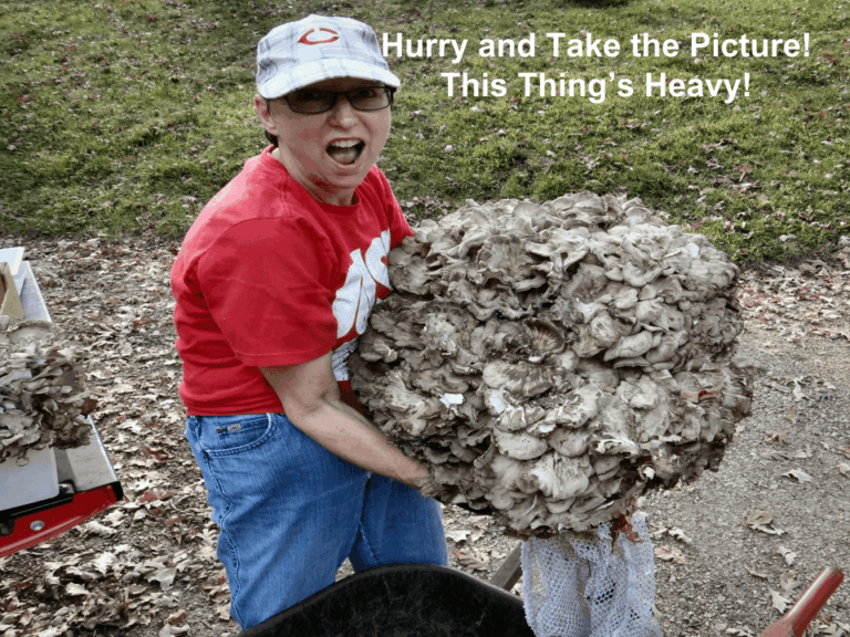 Claudette Lamprecht in a red shirt and cap humorously grimaces while struggling to lift an enormous cluster of hen-of-the-woods mushrooms (Grifola frondosa). Overlaid text reads, "Hurry and Take the Picture! This Thing’s Heavy!" She stands outdoors on a leaf-strewn path next to a wheelbarrow and another mushroom bundle.