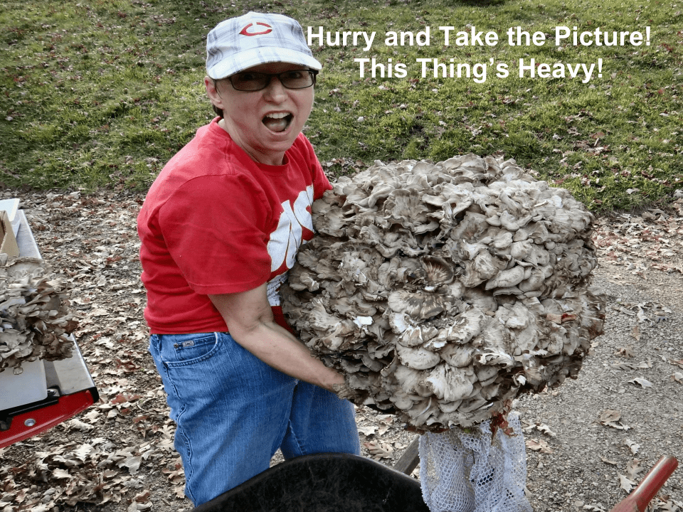 Claudette Lamprecht in a red shirt and cap humorously grimaces while struggling to lift an enormous cluster of hen-of-the-woods mushrooms (Grifola frondosa). Overlaid text reads, "Hurry and Take the Picture! This Thing’s Heavy!" She stands outdoors on a leaf-strewn path next to a wheelbarrow and another mushroom bundle.