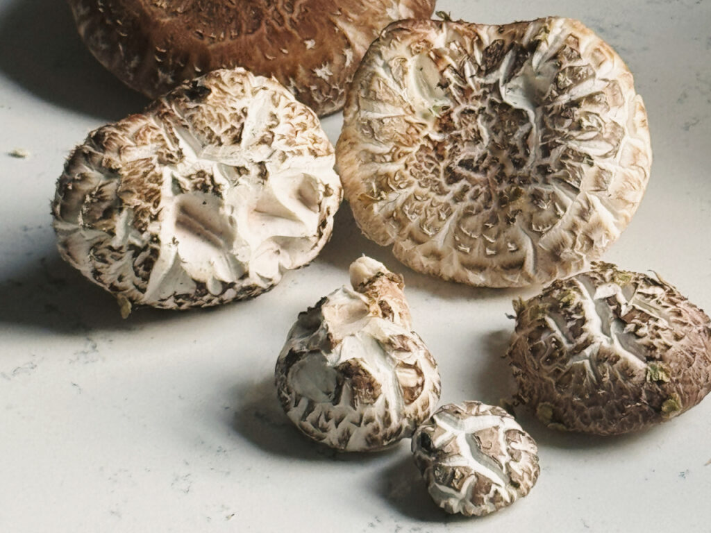 A group of shiitake mushrooms (Lentinula edodes) in various sizes resting on a white countertop. The mushrooms display cracked, textured caps with a mix of light brown and cream tones, revealing their characteristic patterns.