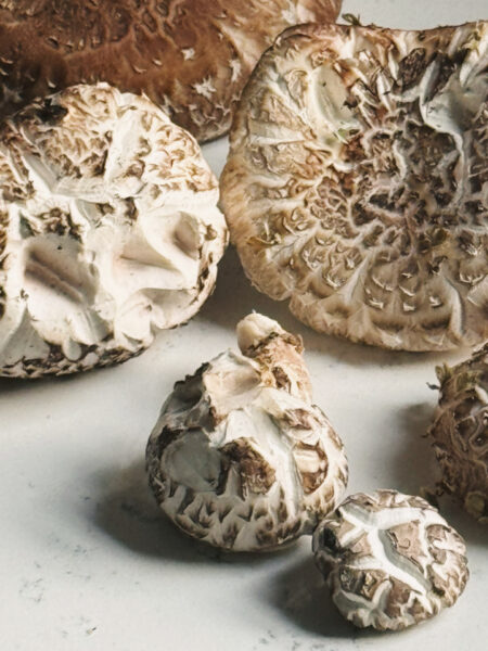 A group of shiitake mushrooms (Lentinula edodes) in various sizes resting on a white countertop. The mushrooms display cracked, textured caps with a mix of light brown and cream tones, revealing their characteristic patterns.