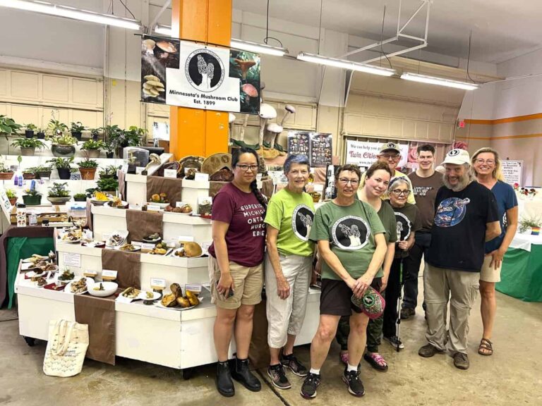 A group of Minnesota Mycological Society volunteers pose in front of their mushroom display booth at the Minnesota State Fair. The display features labeled mushroom specimens arranged on white tiered platforms with brown cloth runners. Behind them hangs a banner reading "Minnesota’s Mushroom Club Est. 1899," surrounded by plants and educational materials.