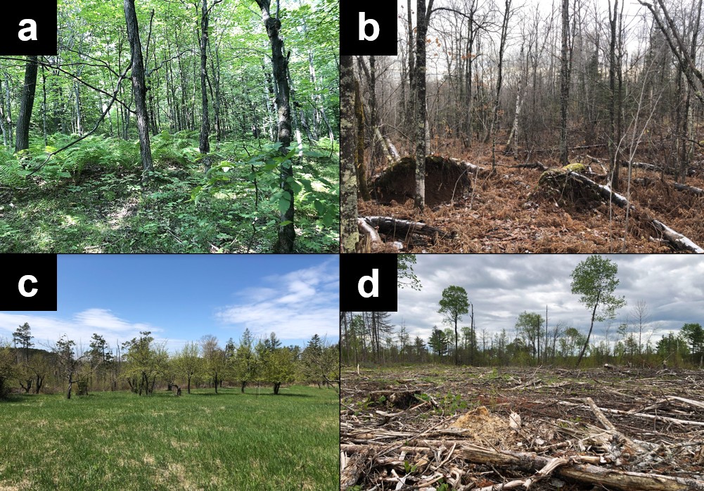 Field Sites for the Reforestation Projects