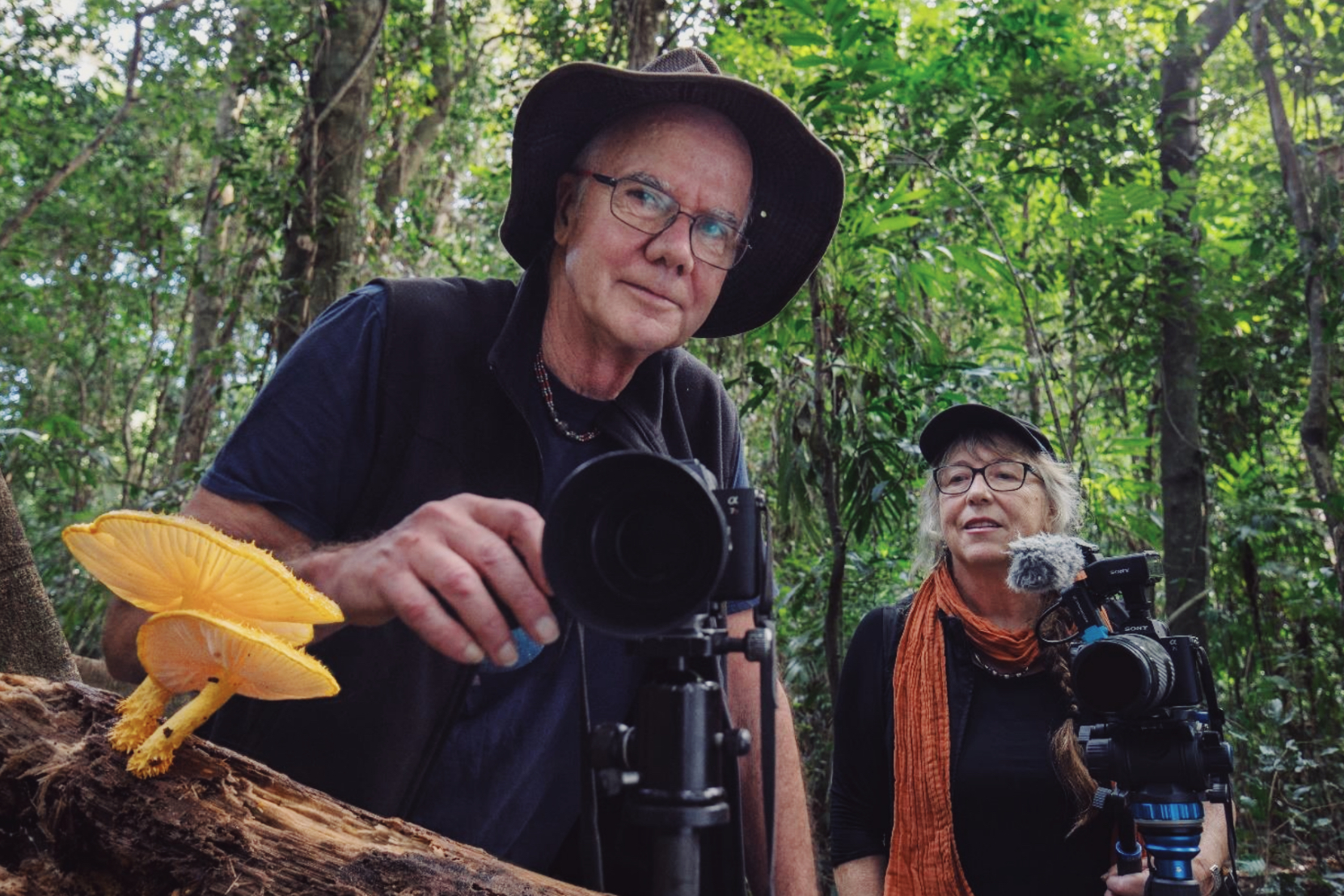 “Follow the Rain” at The Parkway Theater