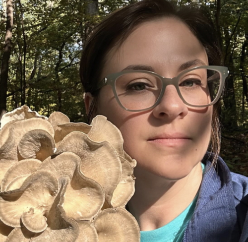 Ron Spinosa searching for mushrooms in the forest.