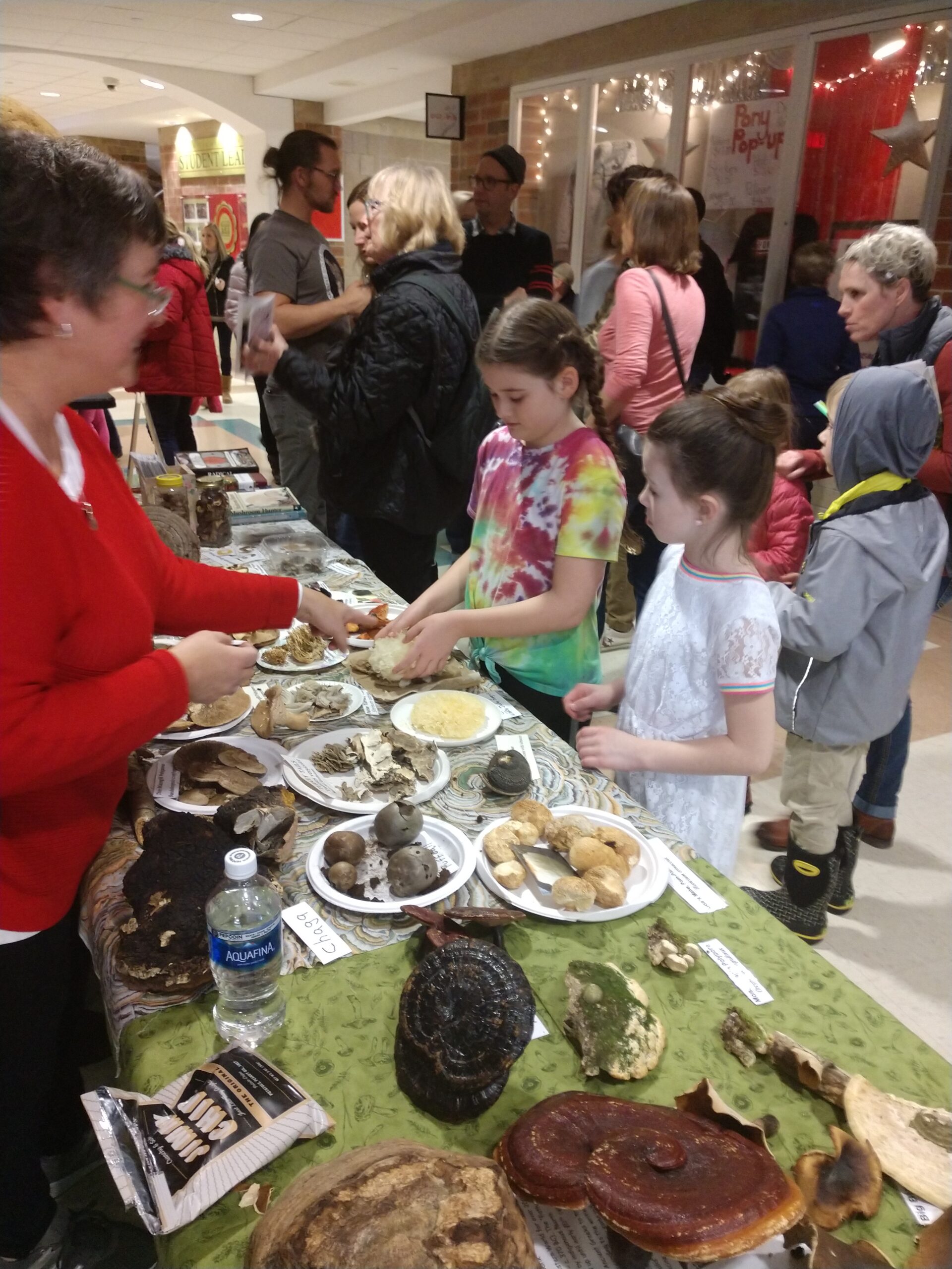 Minnesota Mycological Society volunteer speaks with children at a busy DaVinci Fest exhibit table covered in labeled mushroom specimens. Visitors crowd the hallway lined with lights and displays inside Stillwater Area High School.