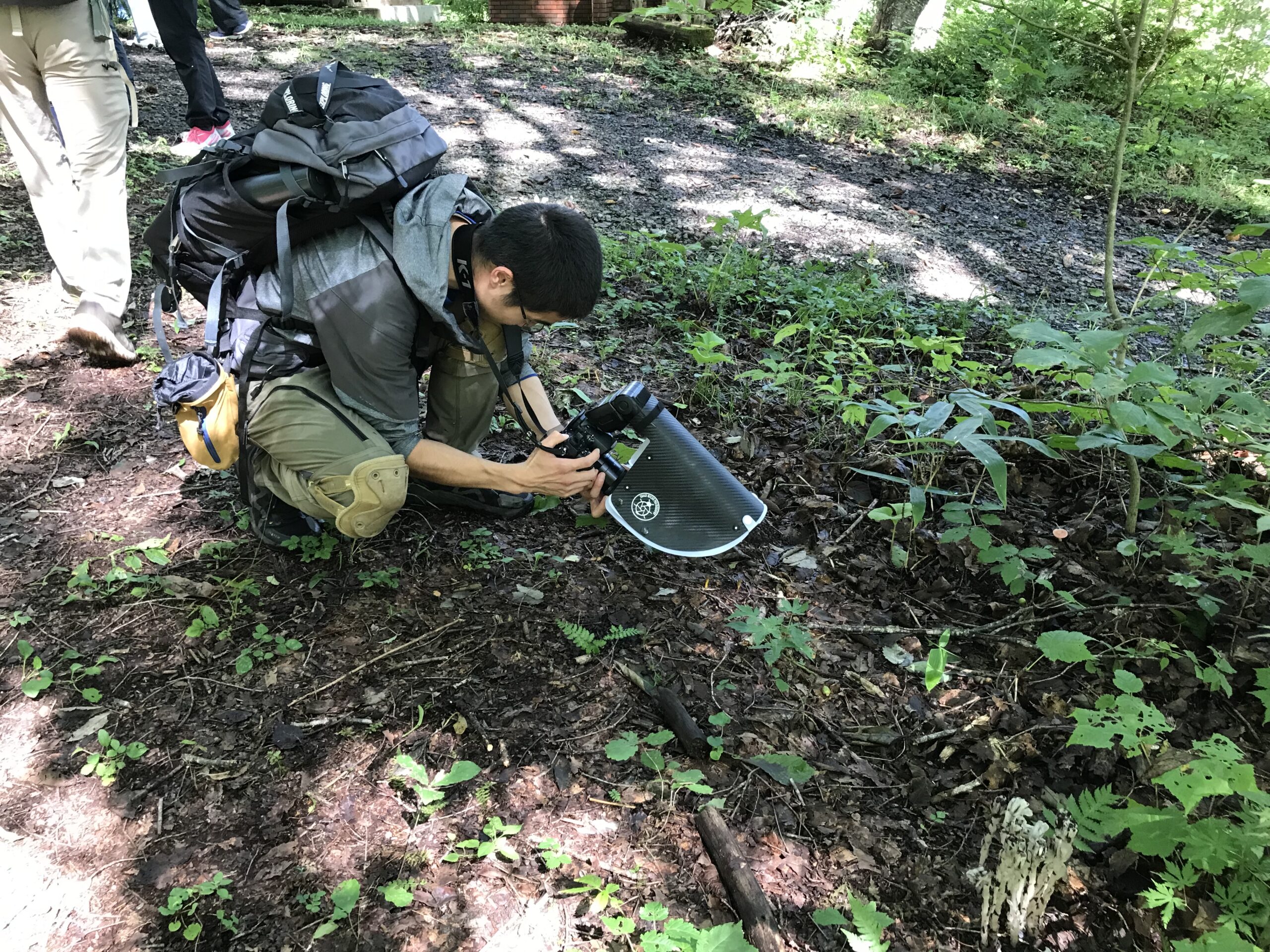Photographiing mushrooms in Japan