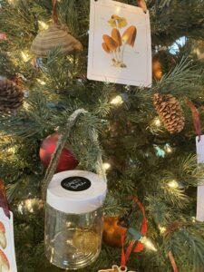 A christmas trree decorated with mushrooms