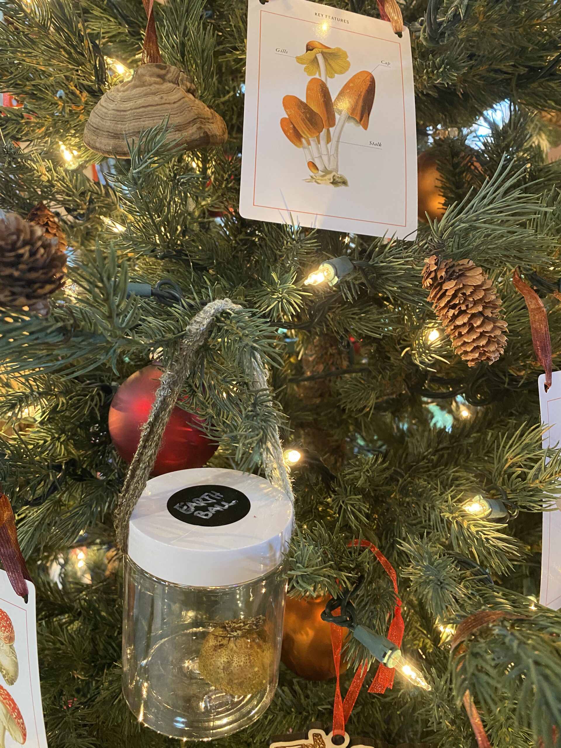 A christmas trree decorated with mushrooms