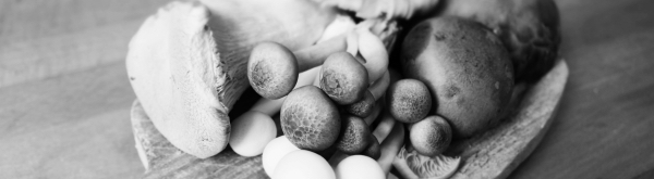 Black-and-white photo of assorted mushrooms piled in a shallow bowl, showing varied caps, stems, and textures in close detail.