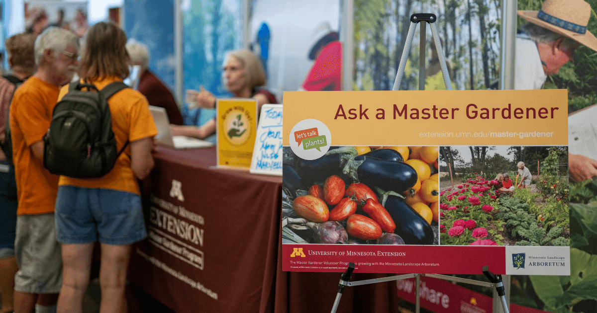Minnesota Mycological Society volunteer speaks with children at a busy DaVinci Fest exhibit table covered in labeled mushroom specimens. Visitors crowd the hallway lined with lights and displays inside Stillwater Area High School.
