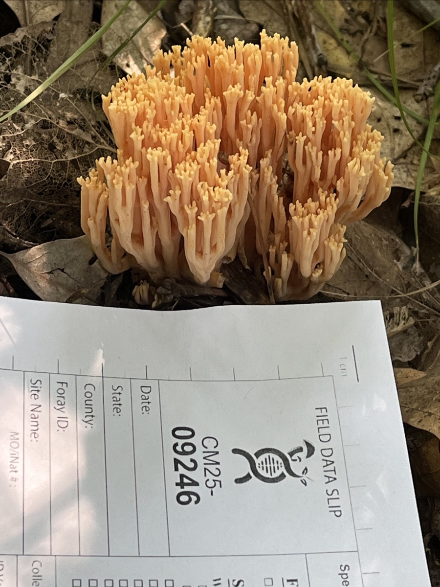 2026 Cloquet Forestry Center Weekend