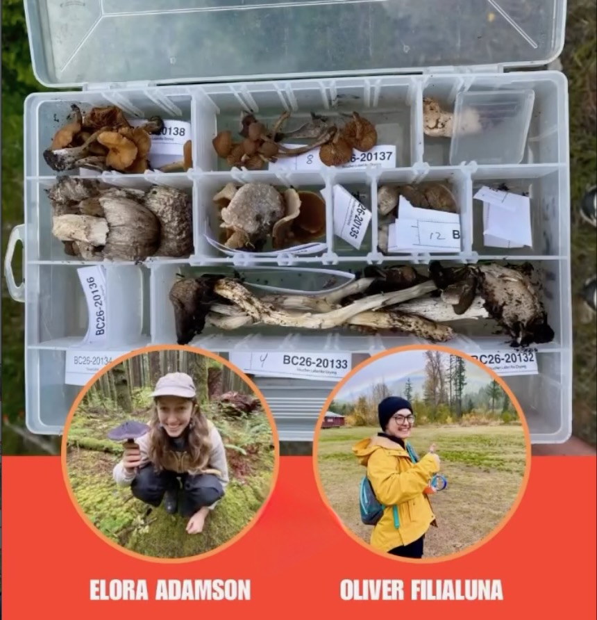 Using iNaturalist to Make Fungi Collections