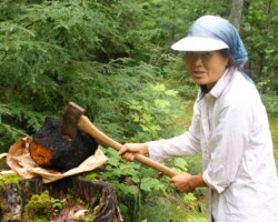 2nd Place Humor A woman in outdoor gear poses with a serious expression while wielding an axe beside a large, blackened conk fungus (likely a Chaga) on a paper bag atop a tree stump; titled “Don’t Mess with Maggie” and awarded 2nd Place Humor.