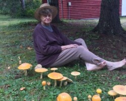 Honorable Mention 5 Woman in a straw hat and purple sweater sitting on grass among a large cluster of yellow-orange mushrooms, with trees and a red cabin in the background; titled 'Mushroom Calendar Girl' by Maddie Papermaster, Honorable Mention 5.