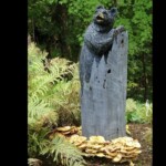 A carved wooden bear peeks over the top of a tall tree stump, with a large cluster of golden honey fungus (Armillaria mellea) growing at the base, surrounded by green ferns and forest foliage. The entry is labeled “3rd Place Tied – Other – Howard Goltz – ‘Honey Bear Tree.’”