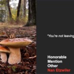Two brown-capped mushrooms with thick stems growing close together on a forest floor covered in pine needles, with tall trees in the background. The photo is humorously captioned “You’re not leaving me muchroom!” and labeled “Honorable Mention Other – Nan Etzwiler.”
