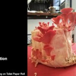 Cluster of vibrant pink oyster mushrooms growing from a toilet paper roll substrate, displayed indoors. The photo is titled “Honorable Mention Other – Ron Spinosa – Pink Oysters Growing on Toilet Paper Roll.”