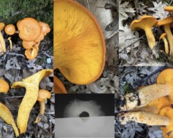 4th Place Scientific