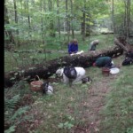 A group of foragers kneel in a line with exaggerated reverence before a fallen log in the forest, surrounded by baskets and gear. 1st Place in the Other / Humor category, photo by John Lamprecht titled *Reverence for the Hericium log*.